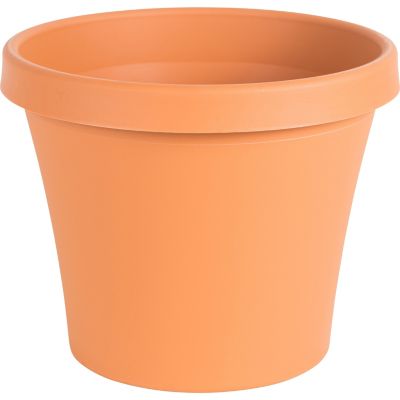 Bloem Plastic Terra Pot Planter