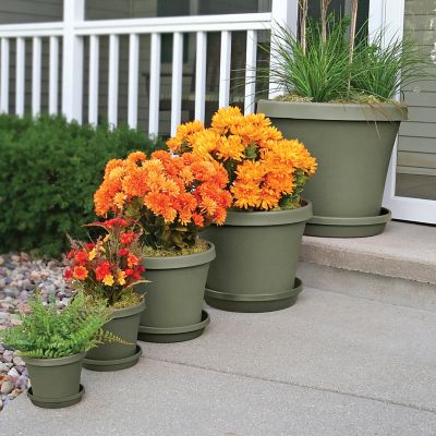 Image showing 5 th Bloem Plastic Terra Pot Planter