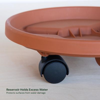 Image showing  Plastic Round Caddie Saucer