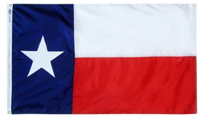 Annin 3 x 5ft. Tough-Tex Tx Flag