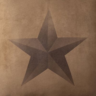 Image showing 7 th HiEnd Accents Luxury Star Comforter Set, 6 pc.