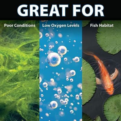 Image showing  0.15 CFM PondAir 2 Pond Aeration Kit