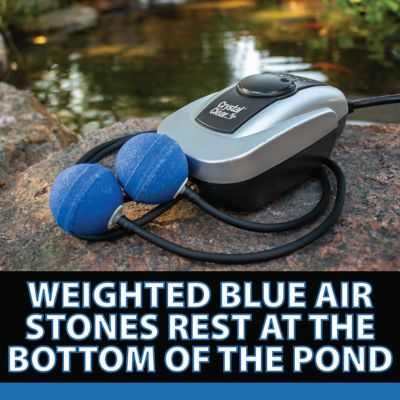 Image showing  0.3 CFM PondAir 4 Pond Aeration Kit