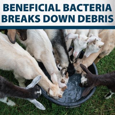 Image showing 5 th Airmax Stock Tank Defense Tablets, 12 Month Supply, 24 Tablets