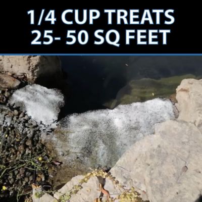 Image showing  AlgaeOff Algaecide Pond Treatment, 25 lb.