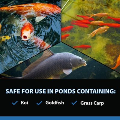 Image showing 6 th CrystalClear AlgaeOff Algaecide Pond Treatment, 25 lb.