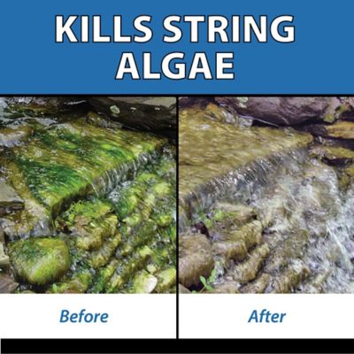 Image showing 7 th CrystalClear AlgaeOff Algaecide Pond Treatment, 25 lb.