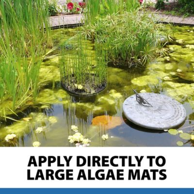 Image showing 8 th CrystalClear AlgaeOff Algaecide Pond Treatment, 25 lb.