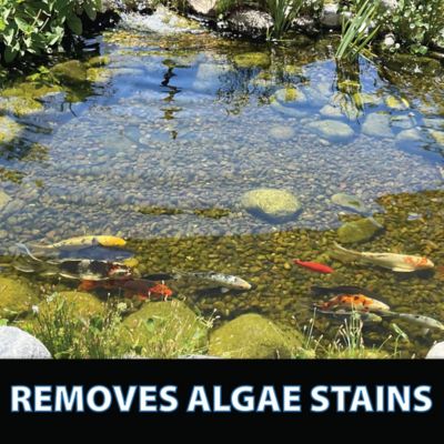 Image showing  ClarityMax Pond, Stream & Waterfall Treatment, 6 lb.