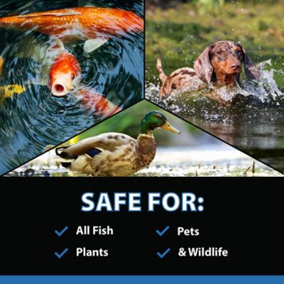 Image showing 6 th CrystalClear MuckOff Muck and Sludge Reducer, Pond Treatment, 96 Tablets