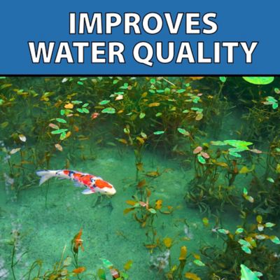 Image showing 8 th CrystalClear MuckOff Muck and Sludge Reducer, Pond Treatment, 96 Tablets