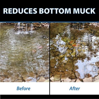 Image showing  MuckOff Muck and Sludge Reducer, Pond Treatment, 384 Tablets