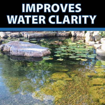 Image showing 5 th CrystalClear Barley Extract Liquid Pond Treatment, Natural Pond Clarifier, 1 gal.