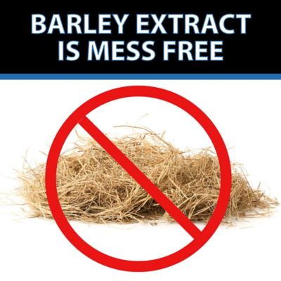 Image showing 6 th CrystalClear Barley Extract Liquid Pond Treatment, Natural Pond Clarifier, 1 gal.