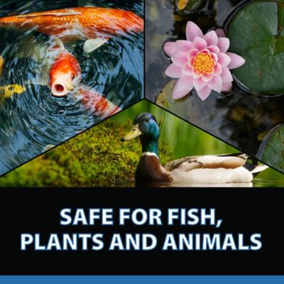 Image showing 7 th CrystalClear Barley Extract Liquid Pond Treatment, Natural Pond Clarifier, 1 gal.