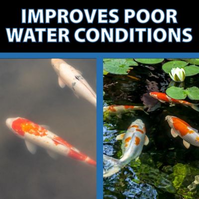 Image showing 8 th CrystalClear Barley Extract Liquid Pond Treatment, Natural Pond Clarifier, 1 gal.