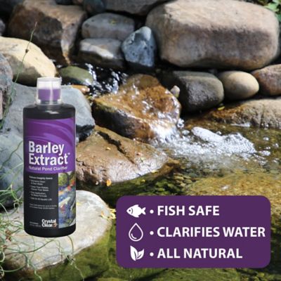 Image showing  Barley Extract Liquid Pond Treatment, Natural Pond Clarifier, 2.5 gal.