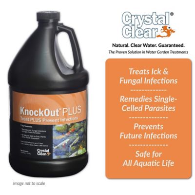 Image showing  KnockOut Plus Fish Treatment, 1 gal.