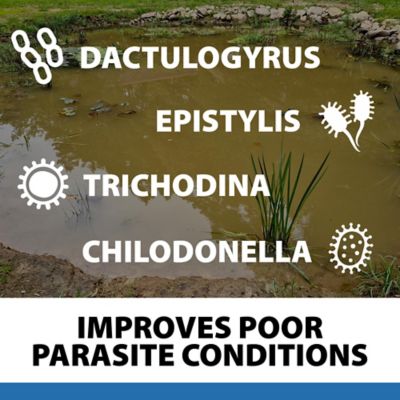 Image showing  ParaSalt Pond Salt, 20 lb.