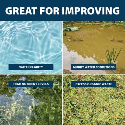 Image showing  ClearPAC Plus 1/4 Acre and 1 gal. of Algae Defense, 39.25 lb.