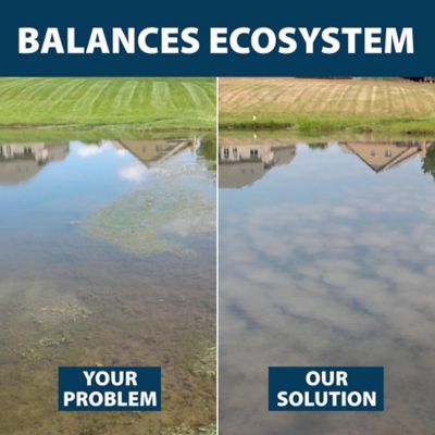 Image showing  ClearPAC Plus 1/4 Acre and 1 gal. of Algae Defense, 39.25 lb.