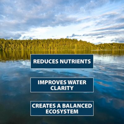 Image showing  PondClear Packets - The Original Natural Clarifier - 96 Water Soluble Packets