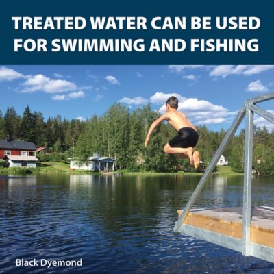 Image showing 5 th Airmax Nature's Blue Pond Dye Packets, 2-Pack