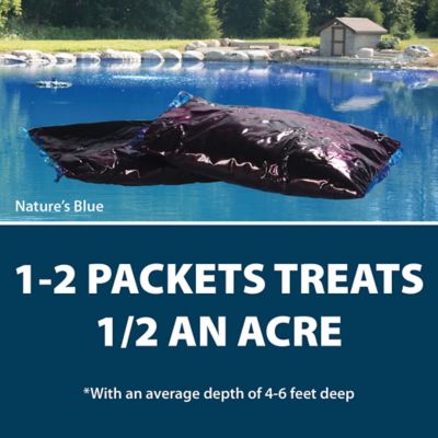 Image showing  Black DyeMond Pond Dye Packets No-Mess Water Soluble Packets, 2-Pack