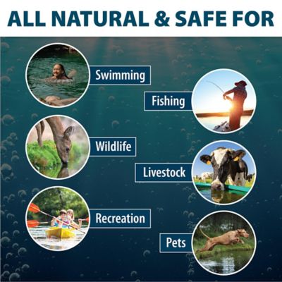 Image showing  Black DyeMond Pond Dye Packets No-Mess Water Soluble Packets, 16-Pack