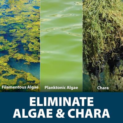 Image showing  Algae Defense Pond Algae Treatment, 1 gal.