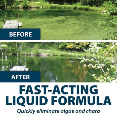 Image showing  Algae Defense Pond Algae Treatment, 1 gal.