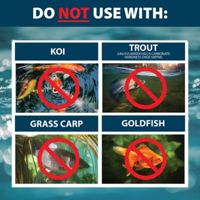 Image showing 5 th Airmax Algae Defense Pond Algae Treatment, 1 gal.