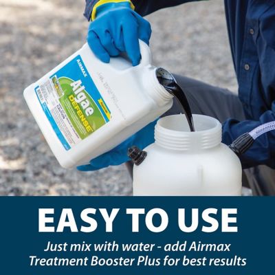 Image showing 6 th Airmax Algae Defense Pond Algae Treatment, 1 gal.