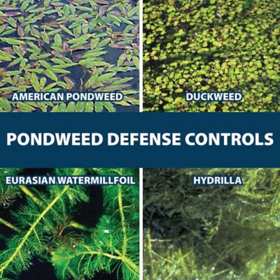 Image showing  Ultra PondWeed Defense Aquatic Herbicide, 32 oz.