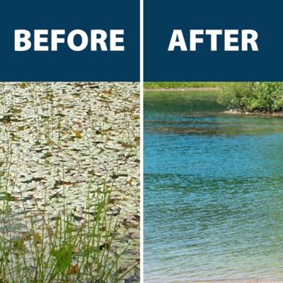 Image showing 5 th Airmax Ultra PondWeed Defense Aquatic Herbicide, 32 oz.