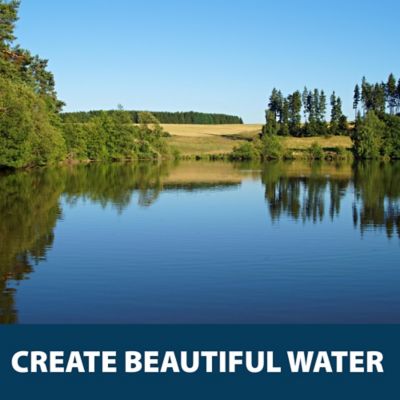 Image showing 8 th Airmax Ultra PondWeed Defense Aquatic Herbicide, 32 oz.