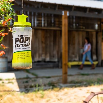 Image showing  POP! Fly Trap