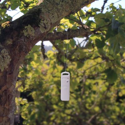 Image showing  Rain Gauge with Indoor/Outdoor Temperature