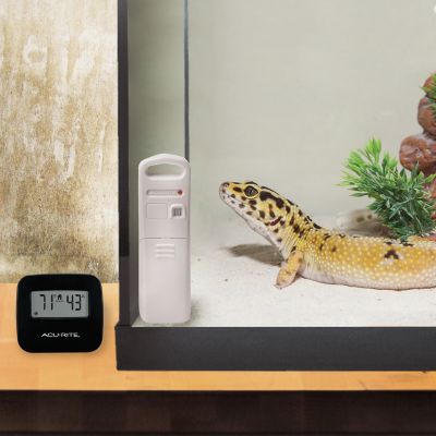 Image showing  Wireless Thermometer with Indoor/Outdoor Temperature and Humidity Sensor