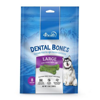 4health dental bones