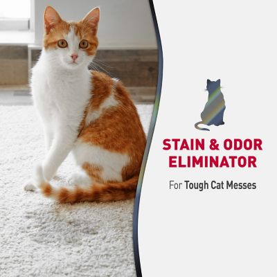 Image showing  Advanced Cat Stain and Odor Eliminator, 32 oz. Spray