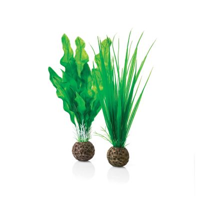 biOrb Small Green Plant Set