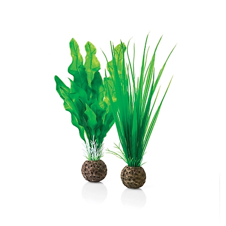 biOrb Small Green Plant Set
