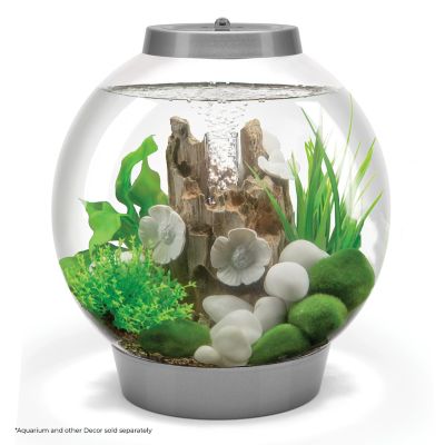Image showing  Small Green Aquarium Plant Set