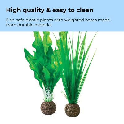 Image showing  Small Green Aquarium Plant Set