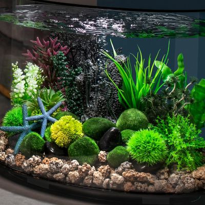 Image showing 5 th biOrb Small Green Aquarium Plant Set