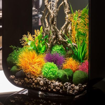 Image showing 6 th biOrb Small Green Aquarium Plant Set