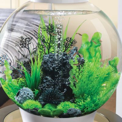 Image showing 7 th biOrb Small Green Aquarium Plant Set