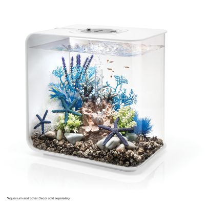 Image showing  Blue Sea Lily Aquarium Decor
