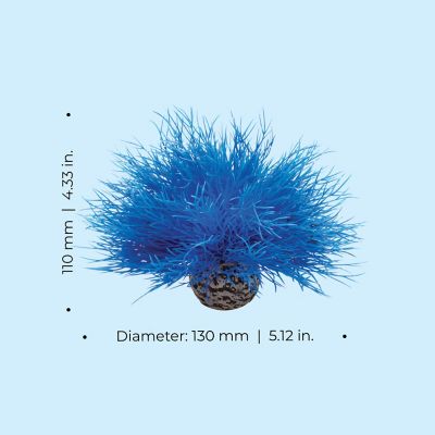 Image showing  Blue Sea Lily Aquarium Decor